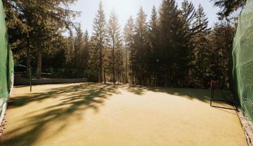 Three-Bedroom Chalet