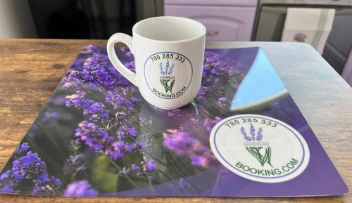 One-Bedroom Apartment with City View