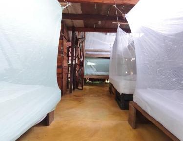 Single Bed in 6-Bed Dormitory Room