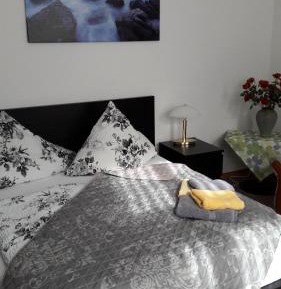 Apartment with Shower