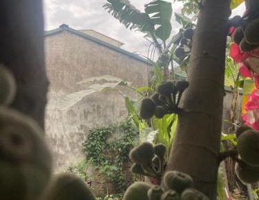 Mixed Dormitory Room