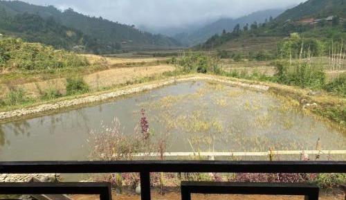 Bed in 10-Bed Mixed Dormitory Room