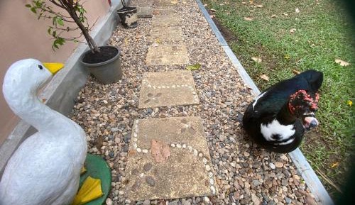 6-Bed Male Dormitory Room