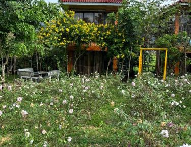 Single Room with Garden View