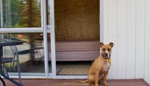 Budget Double or Twin Room