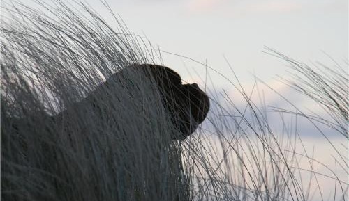 One-Bedroom Bungalow