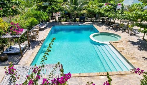 Queen Room with Pool View