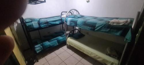 Single Bed in Mixed Dormitory Room