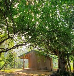 Bungalow with Garden View