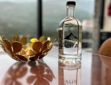 Premium Two-Bedroom House