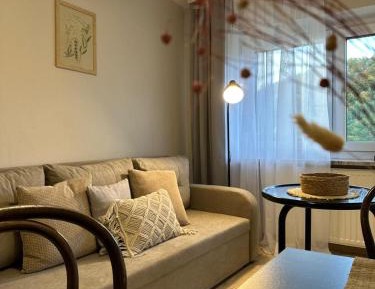 One-Bedroom Apartment with View