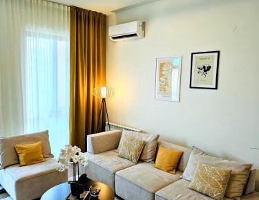 Deluxe One-Bedroom Apartment