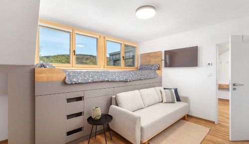 Apartment with Mountain View