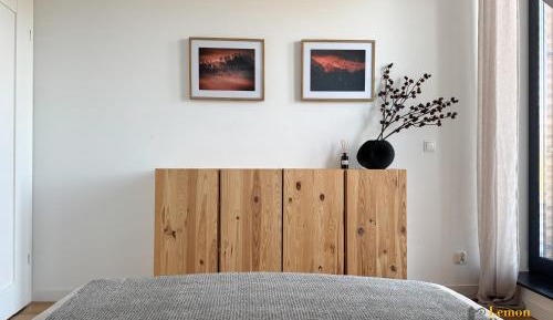 Two-Bedroom Apartment with Mountain View