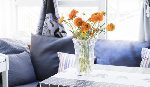 Double or Twin Room with Mountain View