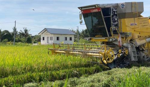 Family Room with Garden View