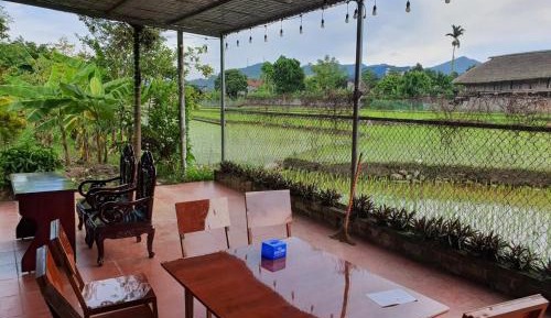 Bed in 8-Bed Mixed Dormitory Room
