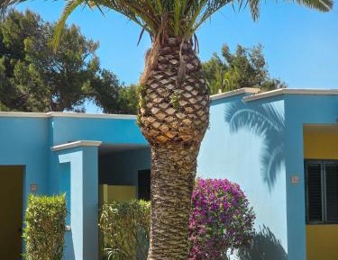 Two-Bedroom Deluxe Apartment with Garden View