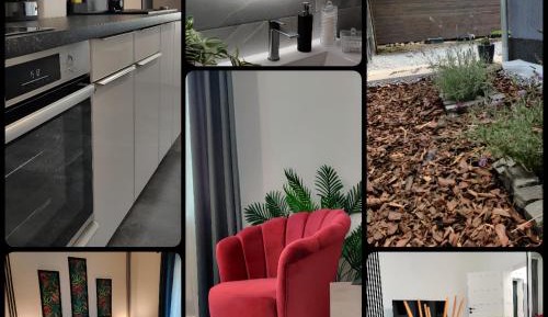 Deluxe One-Bedroom Apartment