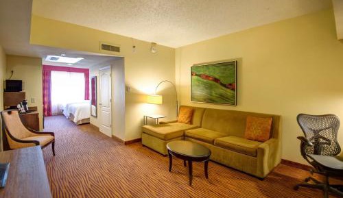 One-Bedroom King Suite