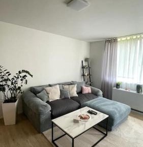 One-Bedroom Apartment and Sofa bed in the living room