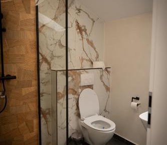 Superior Deluxe Double or Twin Room 