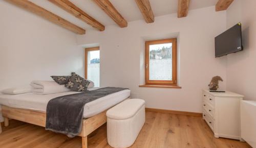 Apartment with Shower