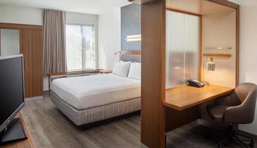 King Studio with Sofa Bed