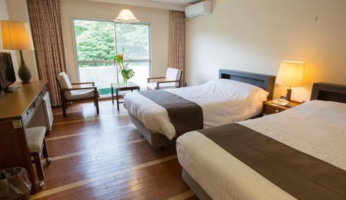 Twin Room with Mountain View