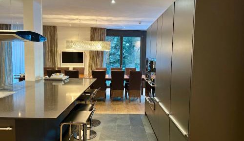 Apartment with Mountain View