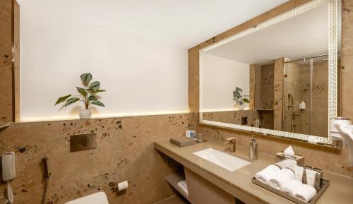 Deluxe Room with Terrace