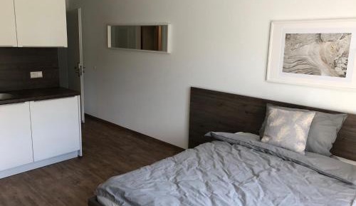 Apartment with Shower