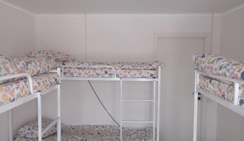 6-Bed Mixed Dormitory Room