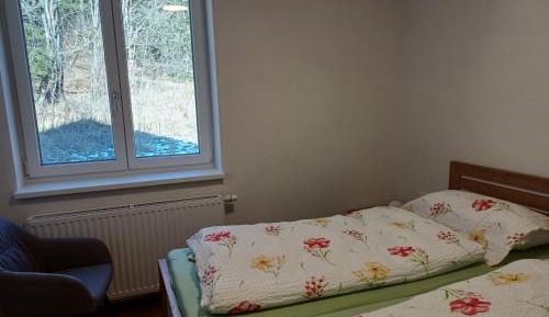 One-Bedroom Apartment with Garden View