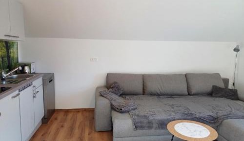 Apartment with Mountain View