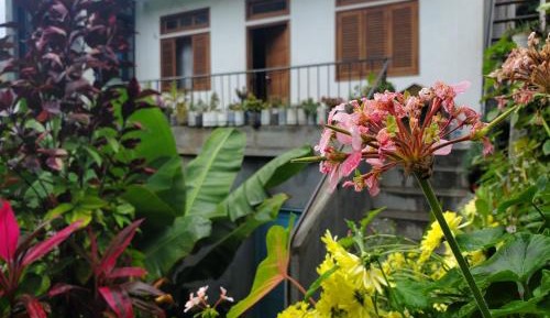 Triple Room with Mountain View