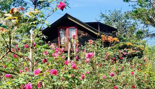 Three-Bedroom Chalet
