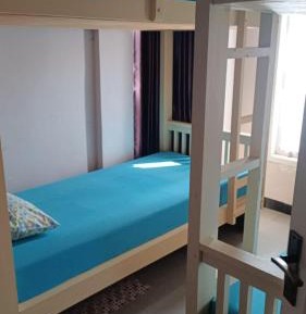 Bunk Bed in Mixed Dormitory Room