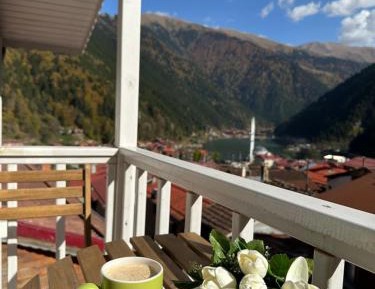 One-Bedroom Apartment with Lake View