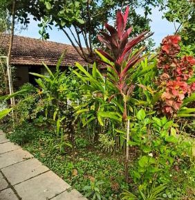 Double Room with Garden View
