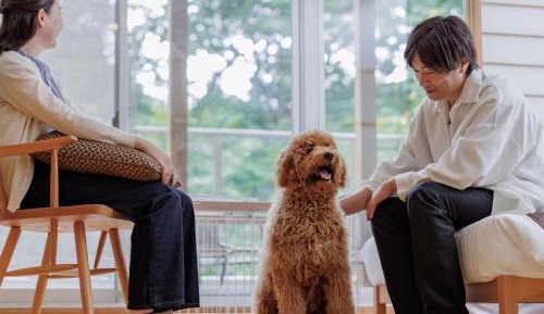 Dog Friendly - Deluxe Japanese-Western Style Room - Non-Smoking - With Open-Air Bath