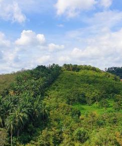 Four-Bedroom Standard Apartment