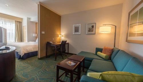 King Suite with Sofa Bed
