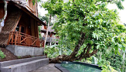 King Room with Garden View