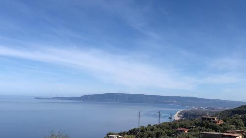 Family Room with Terrace