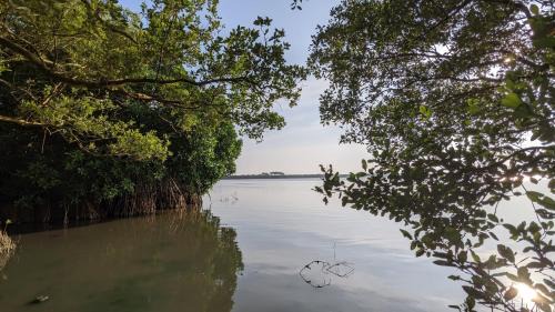 Double Room with Lake View