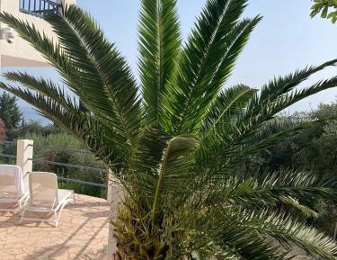 One-Bedroom Apartment with Sea View
