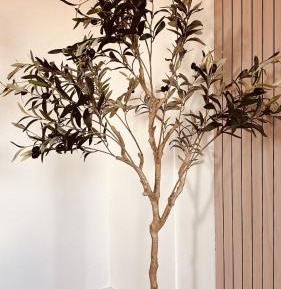 Double or Twin Room with Bathroom