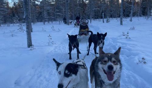 Family Cottage (2 Adults + 1 Child)