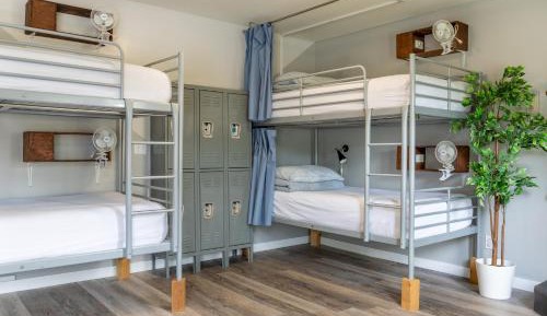 Bed in 6-Bed Mixed Dormitory Room